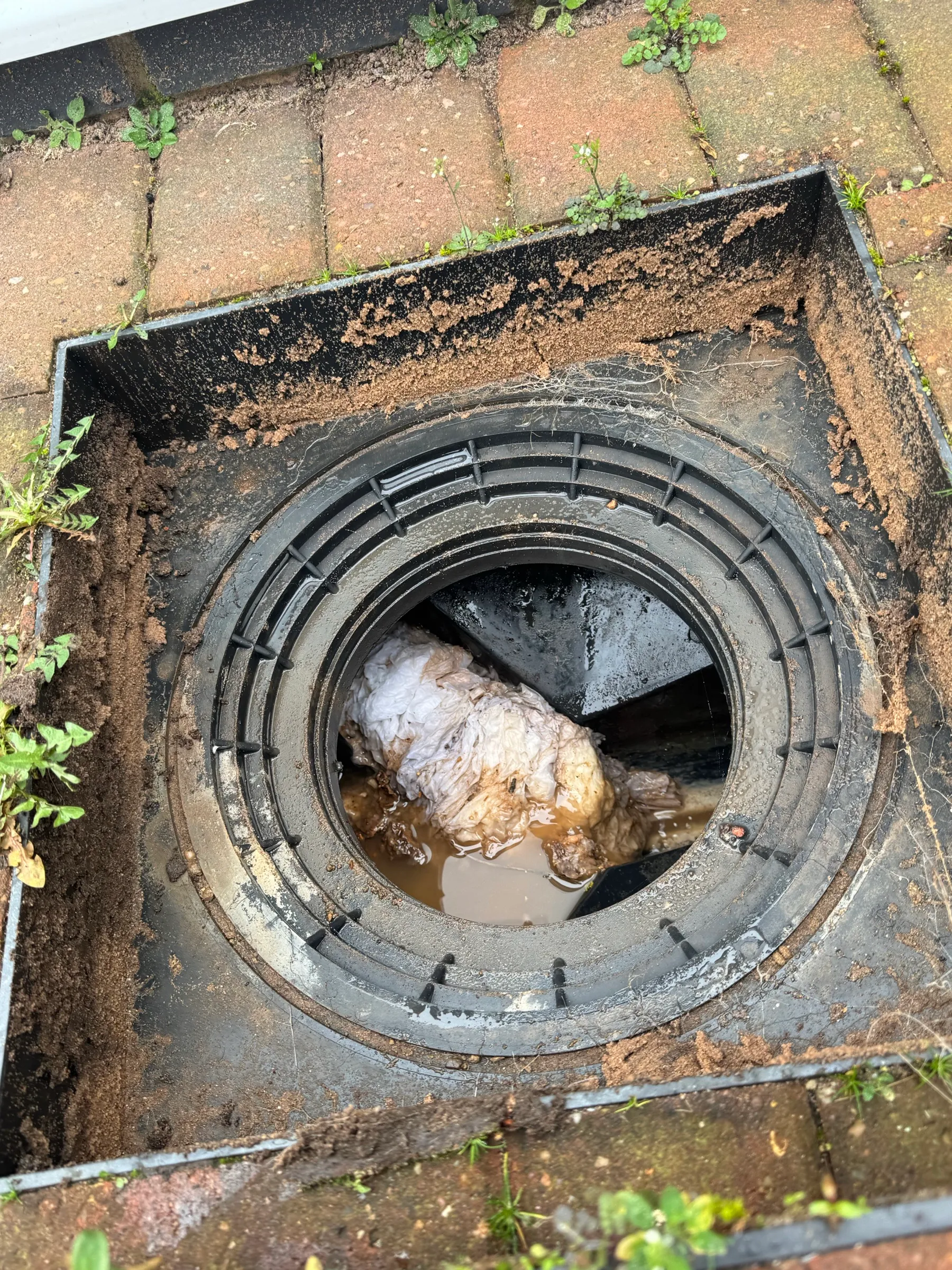 Toilet paper blockage sitting in an open inspection chamber, with water backed up behind it